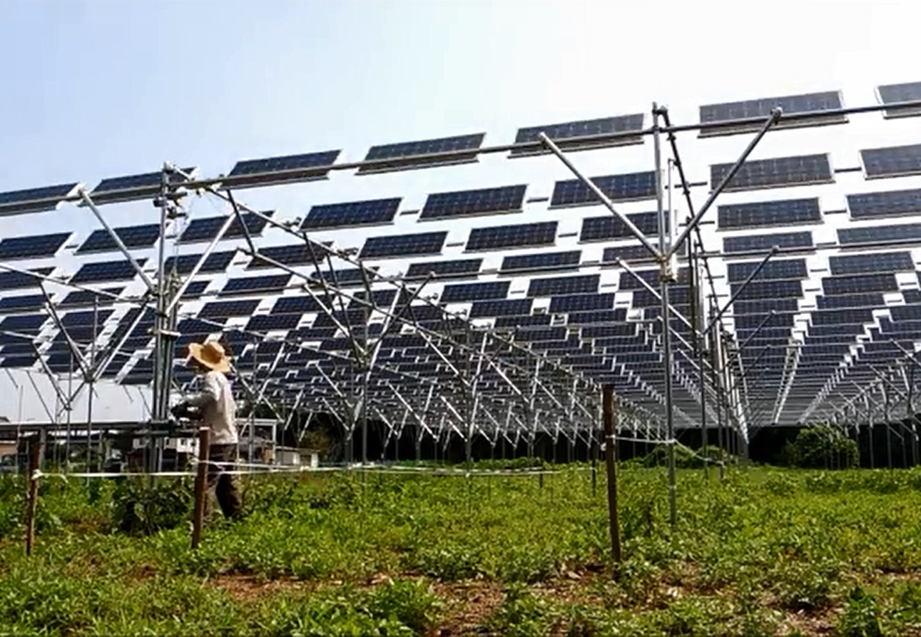 Châteaurenard : des agriculteurs testent les serres photovoltaïques pour le maraîchage Châteaurenard : des agriculteurs testent les serres photovoltaïques pour le maraîchage