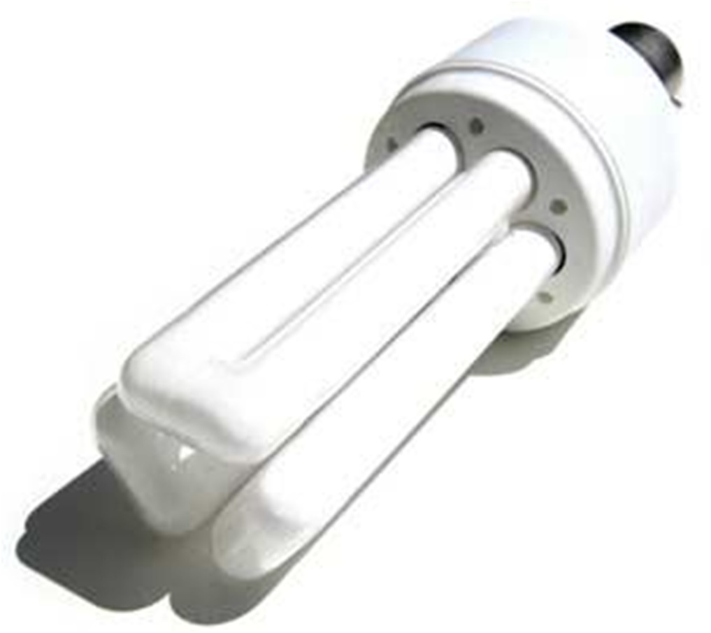 Ampoule fluorescente compacte