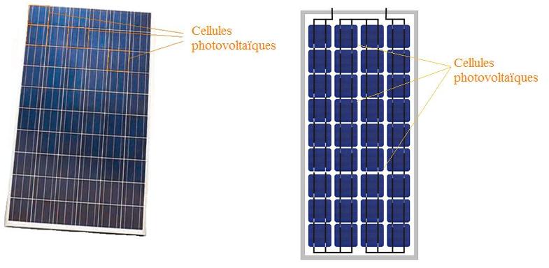 Les modules photovotaïques sont composés de cellules