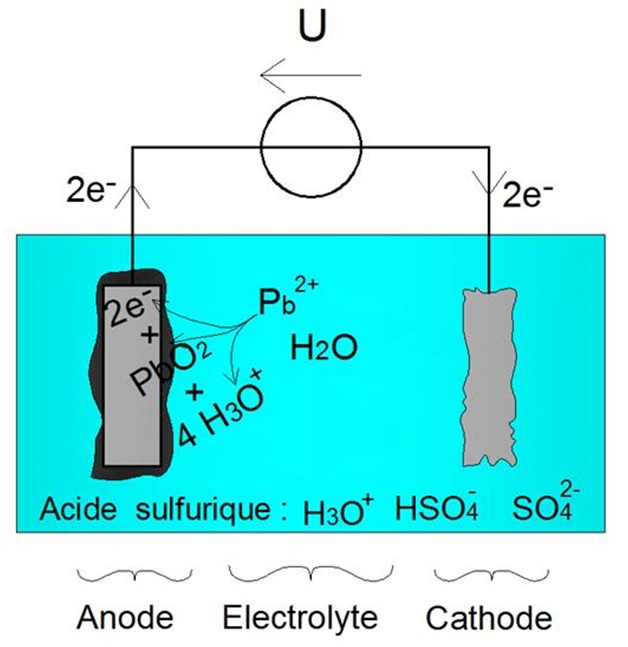 Réaction d’oxydation forcée à l’anode (2')