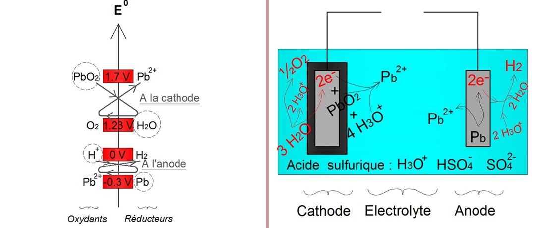 Illustration des réactions secondaires responsable de l'autodécharge d'une batterie acide-plomb