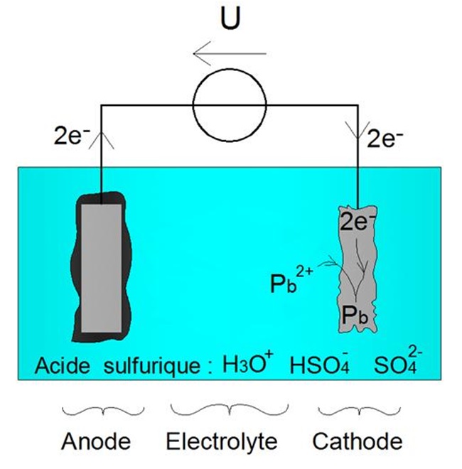 Réaction de réduction forcée à la cathode (1')