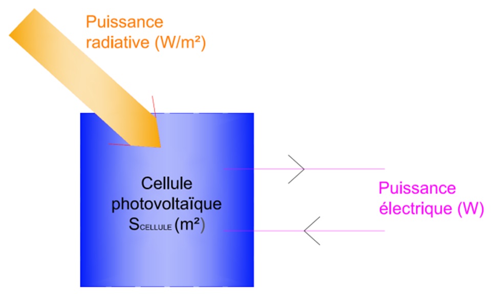 Surface d'une cellule exposée au rayonnement